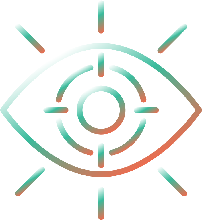 Vision
